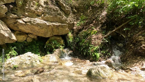 Nacimiento de agua en las montañas de la sierra madre oriental con agua muy cristalina y fria el agua sale de la montaña photo