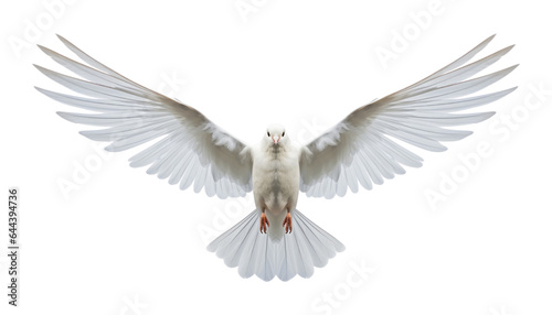 white dove flying isolated on transparent background cutout