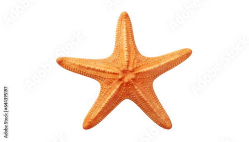 starfish isolated on transparent background cutout © Papugrat
