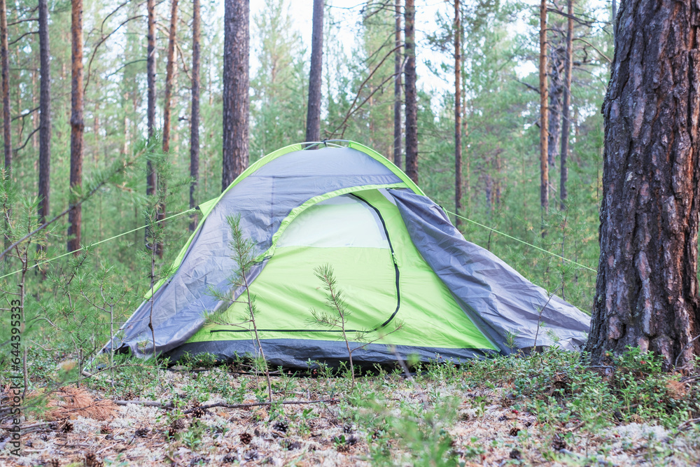 Green tent in forest among pine trees, camping concept.