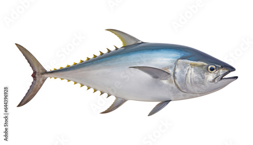 fish isolated on transparent background cutout © Papugrat
