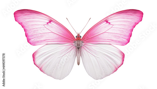 white pink butterfly isolated on transparent background cutout © Papugrat