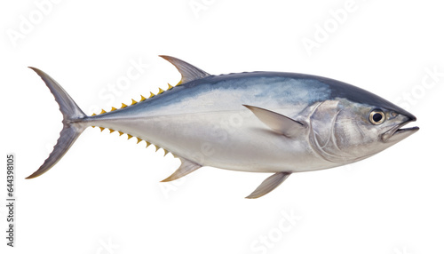 sea fish isolated on transparent background cutout