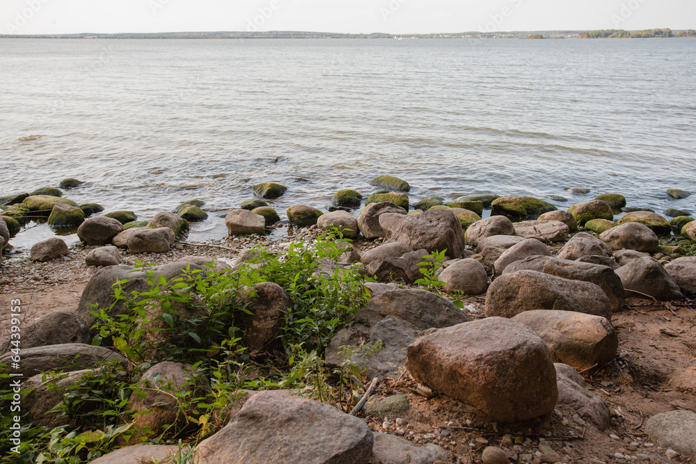 Scenic view from the shore to the reservoir - a lake landscape with trees and a beach in the foreground Scenic view from the shore to the reservoir - a lake landscape with trees and a beach in the foreground
