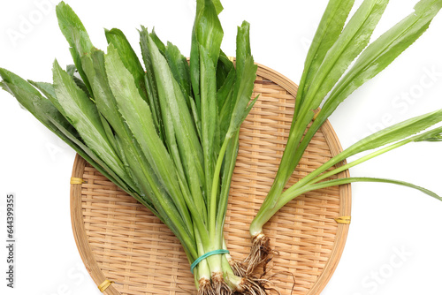 Ngo Gai leafs thai parsley fragrant herb condiment on white background photo