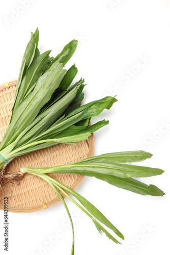 Ngo Gai leafs thai parsley fragrant herb condiment on white background