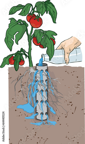 Vegetables watering methods vector illustration