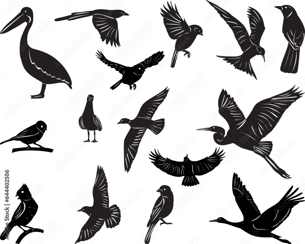 Obraz premium set of birds silhouette on white background vector