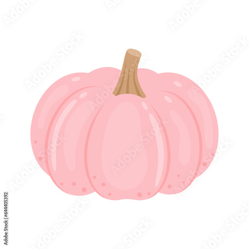 Porcelain doll pink pumpkin whole vegetable isolated on white background. Cucurbita maxima. Porcelain princess squash icon. Vector illustration of vegetables in flat style.