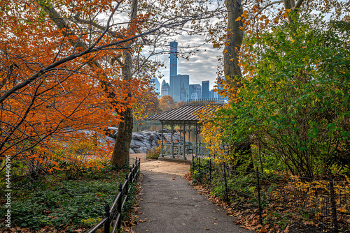 Autumn in Central Park