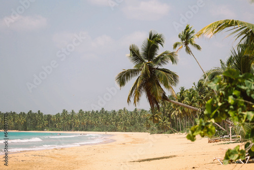 Tropical beach in paradise caribbean photo