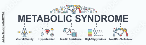 Metabolic Syndrome banner web icon vector concept with an icon of Hypertension, Insulin Resistance, High Triglycerides, Low HDL-Cholesterol and Visceral Obesity. Minimal cartoon infographic. photo