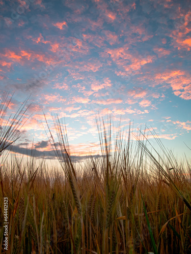 Sunset in Countryside