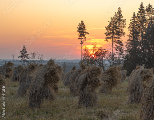 Sunset in Countryside