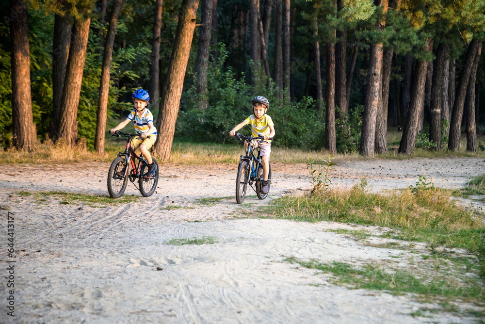 Two active little sibling boys having fun on bikes in forest on warm day. Two active little sibling boys having fun on bikes in forest on warm day.
