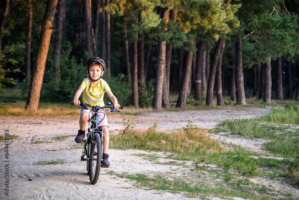 Naklejka premium Portrait of happy active teenage boy in safety helmet relaxing after school riding his bike in beautiful park on sunny autumn day