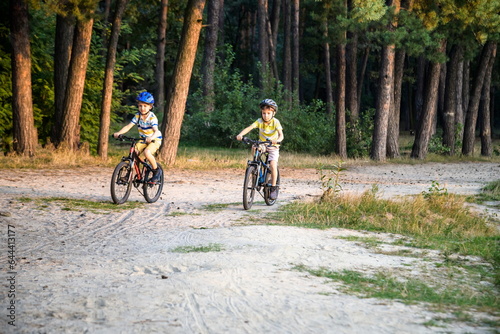 Two active little sibling boys having fun on bikes in forest on warm day.