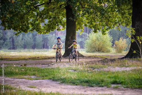 Two little kid boys in colorful casual clothes in summer forest park driving bicycle. Active children cycling on sunny fall day in nature. Safety, sports, leisure with kids concept