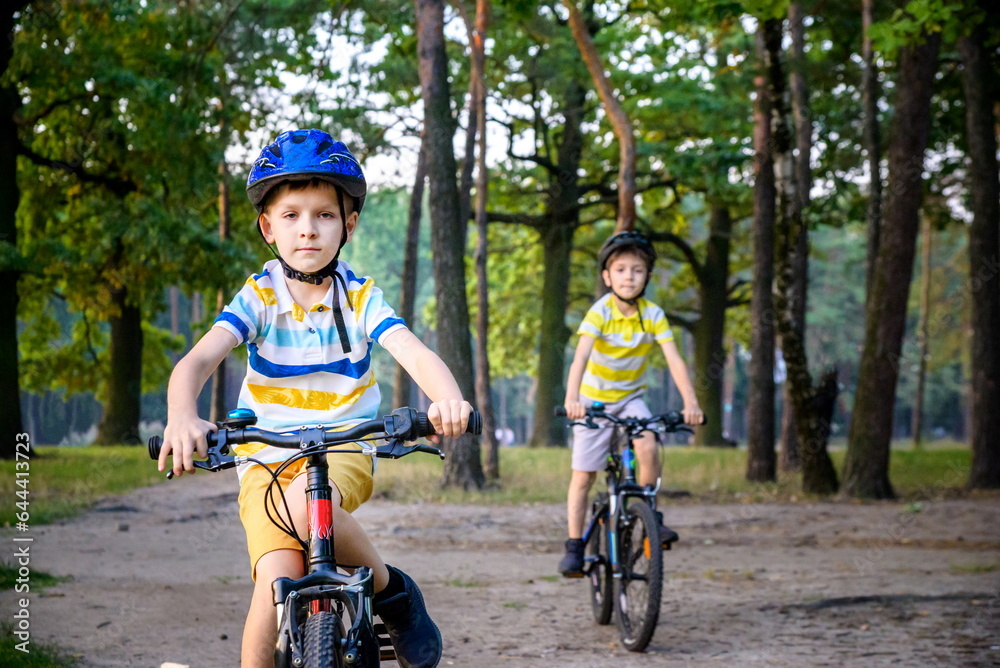 Naklejka premium Two little kid boys in colorful casual clothes in summer forest park driving bicycle. Active children cycling on sunny fall day in nature. Safety, sports, leisure with kids concept