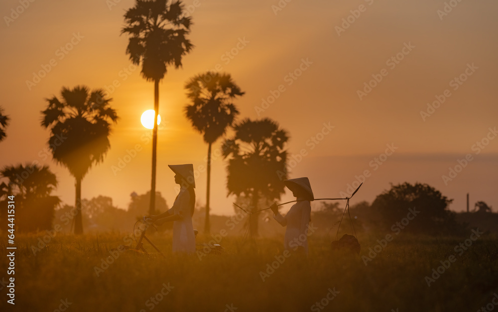 Beautiful Vietnamese woman wearing traditional dress with bicycle and Carrying things walk pass rice field on sunrise time ,lifestyle of farmer in Vietnam with sugar palm tree background.