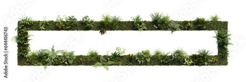A variety of tropical plants to decorate a vertical garden on a transparent background.