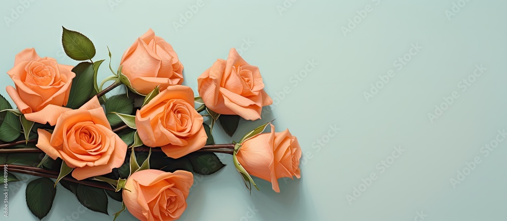 Orange roses arranged in a round bouquet viewed from above against a isolated pastel background Copy space Orange roses arranged in a round bouquet viewed from above against a isolated pastel background Copy space