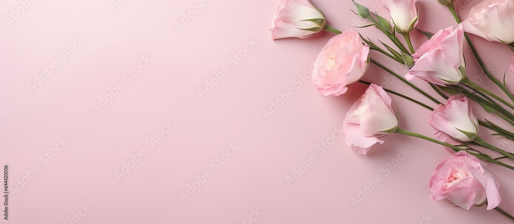 Pink wedding eustoma adorable and delicate isolated pastel background Copy space