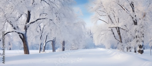 Winter in the countryside with snowy trees isolated pastel background Copy space