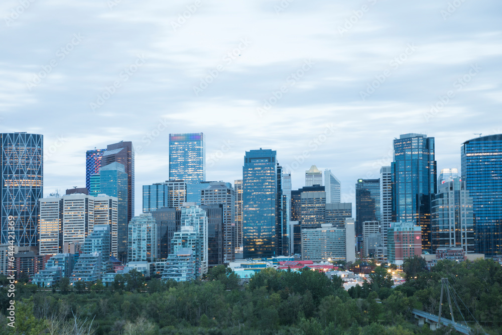 Beautiful view of the Downtown in Calgary, Canada