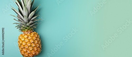 Pineapple Alone on isolated pastel background Copy space