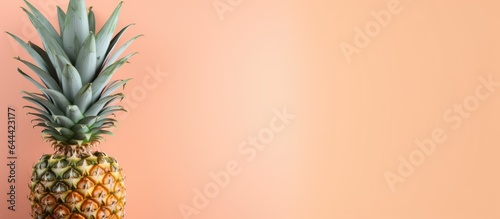 Pineapple Alone on isolated pastel background Copy space