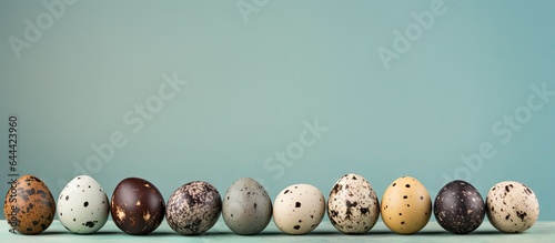 Quail and chicken eggs lined up on a isolated pastel background Copy space for Easter