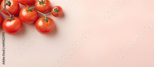 Tomatoes on isolated pastel background Copy space