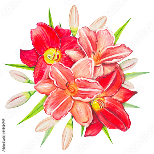 Hand drawn bouquet with red lilies, watercolor botanical illustration isolated on white background