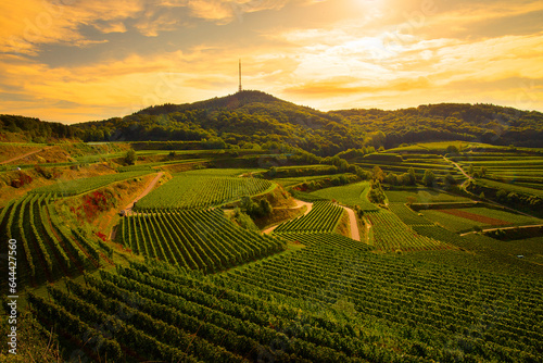Kaiserstuhl Totenkopf