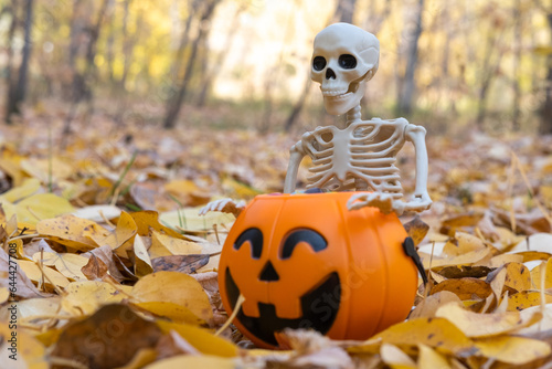 A skeleton and a pumpkin basket for Halloween full of candy on a background of yellow fallen dry autumn leaves.