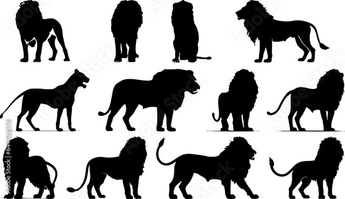 Fototapeta Naklejka Na Ścianę i Meble -  Lion Silhouette Illustration Set