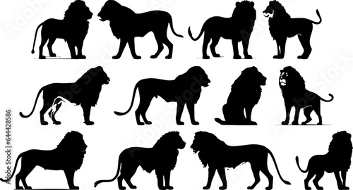Lion Silhouettes Set Illustration