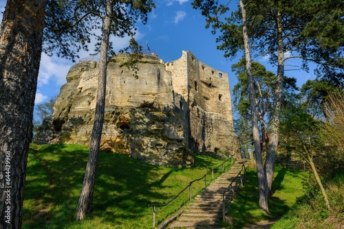 Valecov castle ruins  Middle Bohemia  Czech Republic