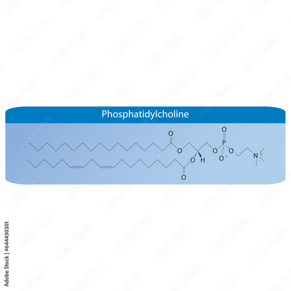Structure of Phosphatidylcholine biomolecule, skeletal structure ...