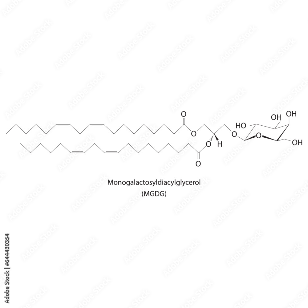 Digalactosyldiacylglycerol (DGDG) molecular strcuture vector illustration. Scientific diagram of chloroplast memebrane component on on yellow background. Vector illustration.