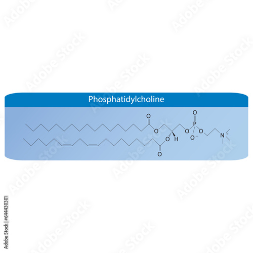 Structure of Phosphatidylcholine biomolecule, skeletal structure diagram on on yellow background. Scientific diagram vector illustration.