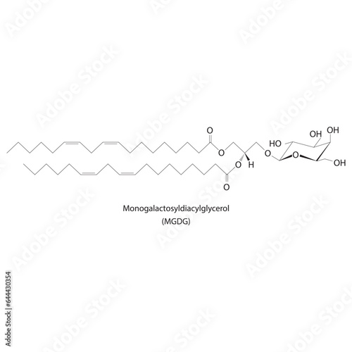 Digalactosyldiacylglycerol (DGDG) molecular strcuture vector illustration. Scientific diagram of chloroplast memebrane component on on yellow background. Vector illustration.