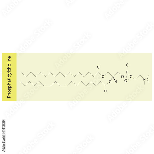 Structure of Phosphatidylcholine biomolecule, skeletal structure diagram on on pink background. Scientific diagram vector illustration.
