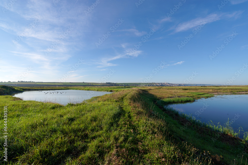 Obraz premium Swamps and meadows of the Hable of Ault in Picardy coast