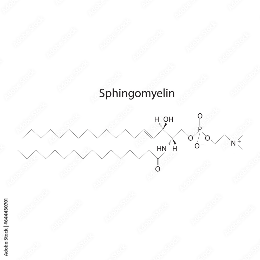 Structure of Sphingomyelin biomolecule, skeletal structure diagram on on white background. Scientific diagram vector illustration.