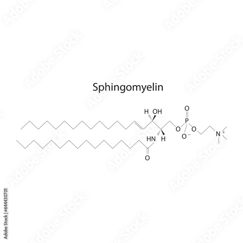 Structure of Sphingomyelin biomolecule, skeletal structure diagram on on white background. Scientific diagram vector illustration.