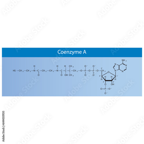 Structure of Coenzyme A biomolecule, co factor skeletal structure diagram on on blue background. Scientific diagram vector illustration.