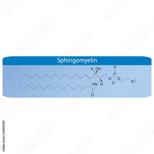 Structure of Sphingomyelin biomolecule, skeletal structure diagram on on yellow background. Scientific diagram vector illustration.
