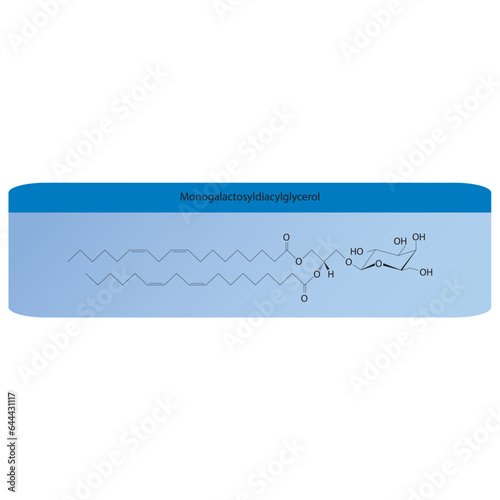 Monogalactosyldiacylglycerol (MGDG) molecular strcuture vector illustration. Scientific diagram of chloroplast memebrane component on on blue background. Vector illustration.